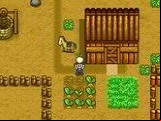 Harvest Moon