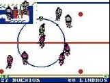 Pro Sport Hockey