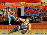 Fatal Fury Special
