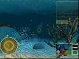 Treasures of the Deep