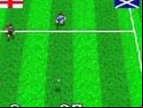 Virtual Soccer