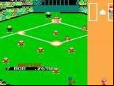 Champion Baseball