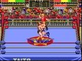Champion Wrestler